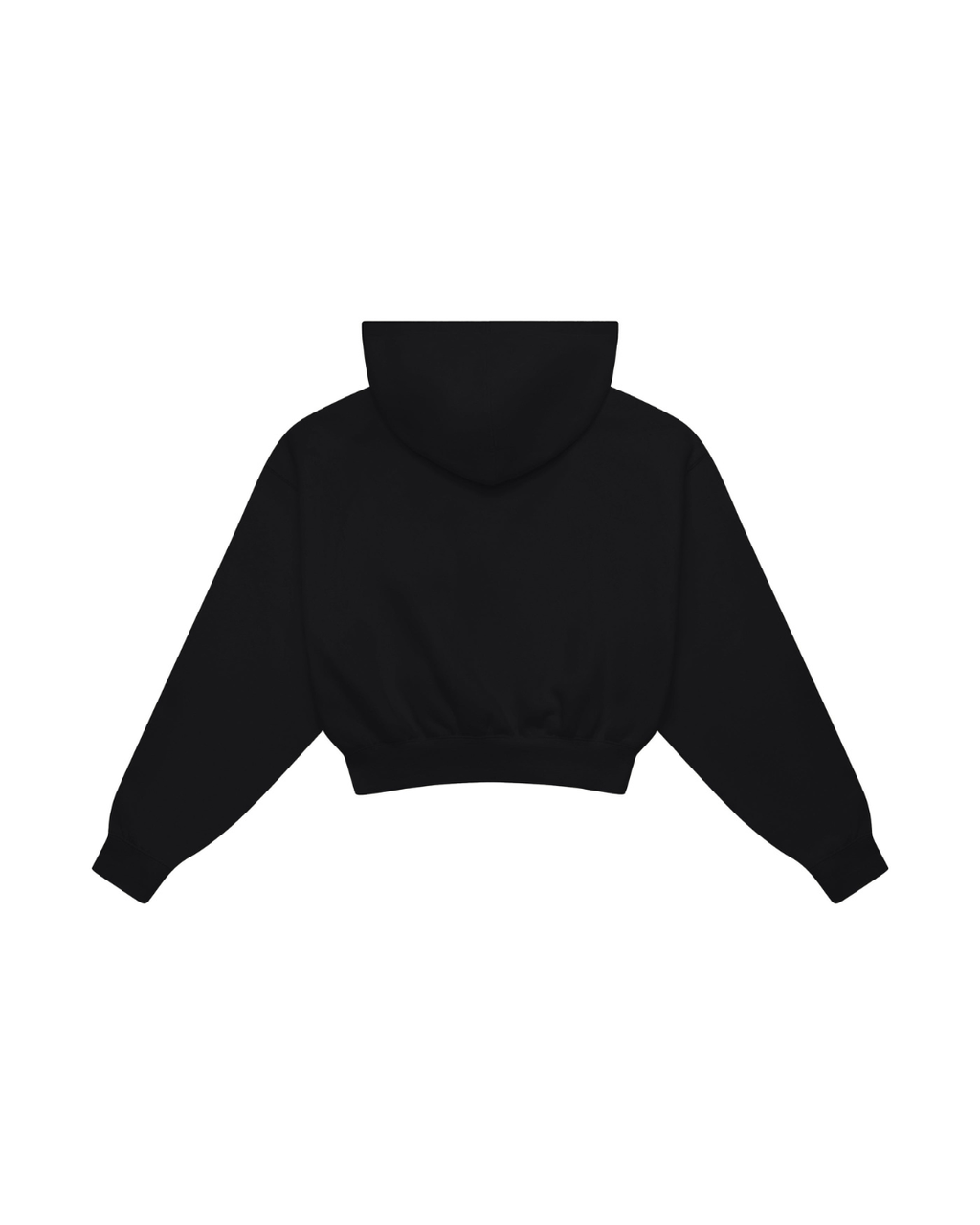 Fermuarlı Crop Hoodie