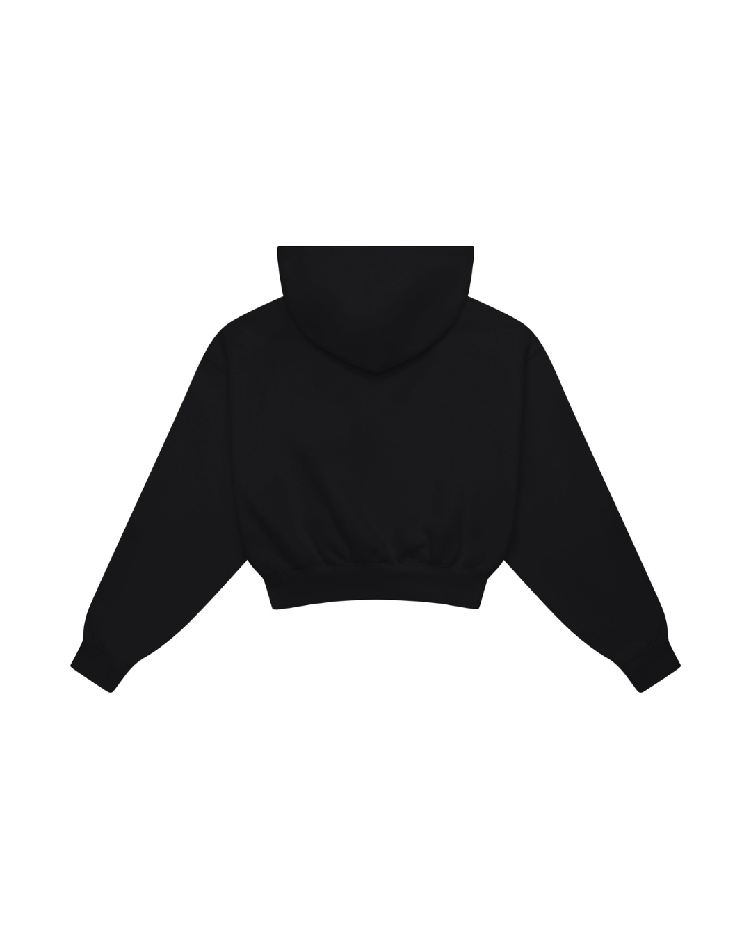 Fermuarlı Crop Hoodie